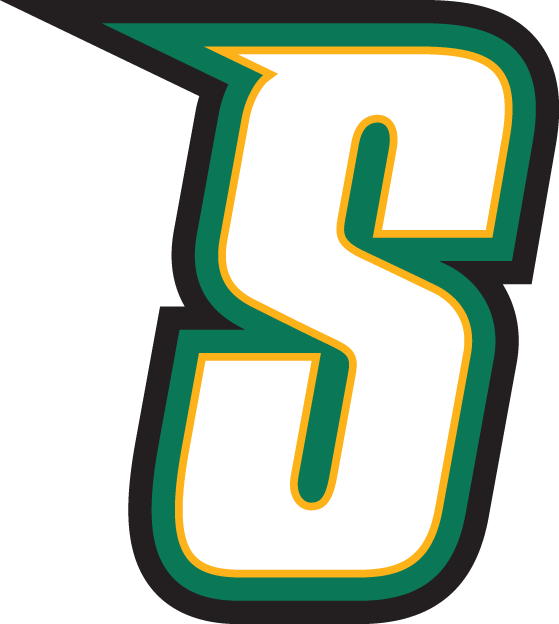 Siena Saints 2001-Pres Alternate Logo t shirts DIY iron ons v3